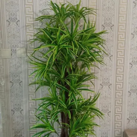 1 * Varna